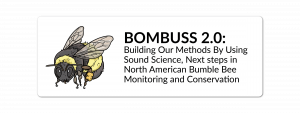 BOMBUSS 2.0 Next steps in North American Bumblebee Conservation and Ecology @ HNES 140