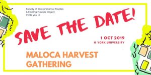 Maloca Harvest Gathering @ Maloca Garden, York University